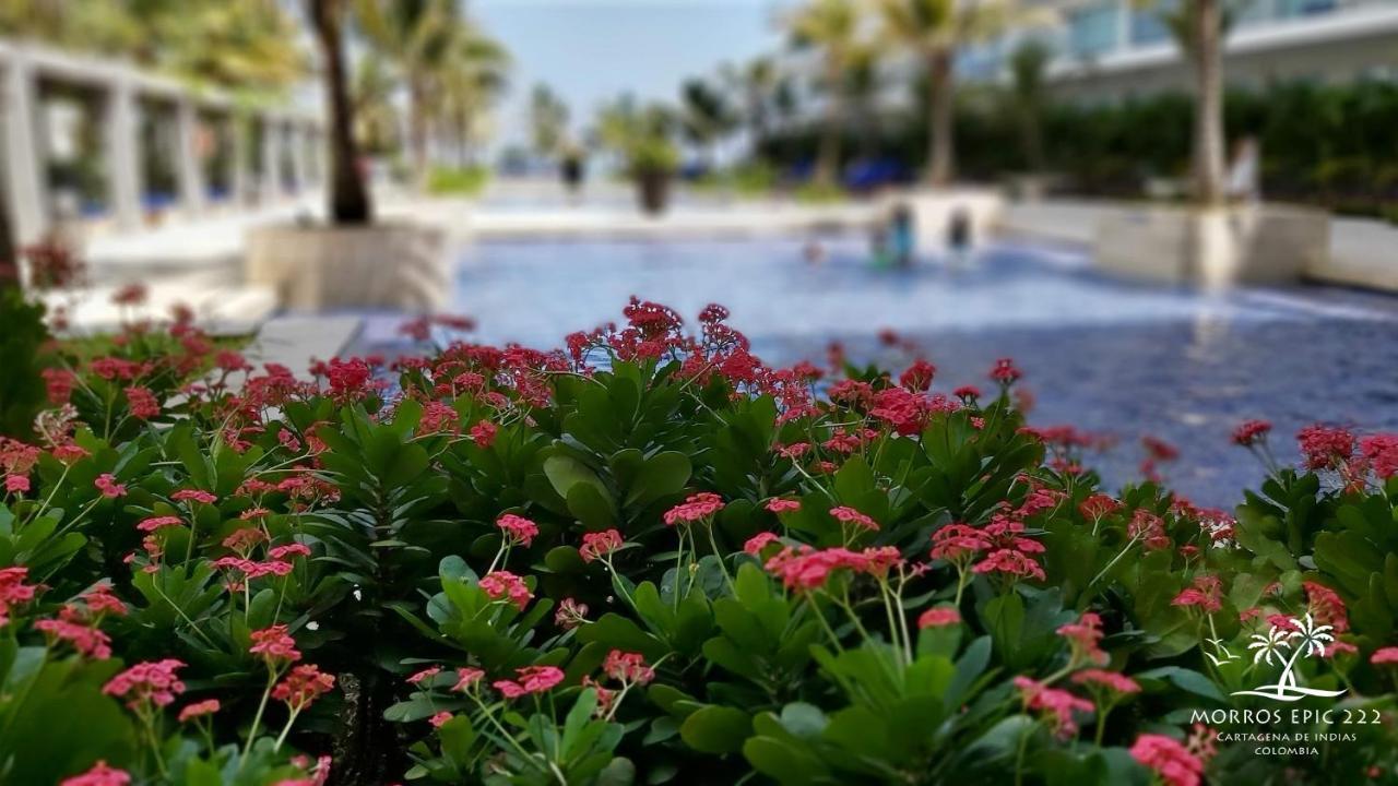 Morros Epic 222 * Cartagena